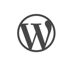 ecommerce-brains-wordpress-c3