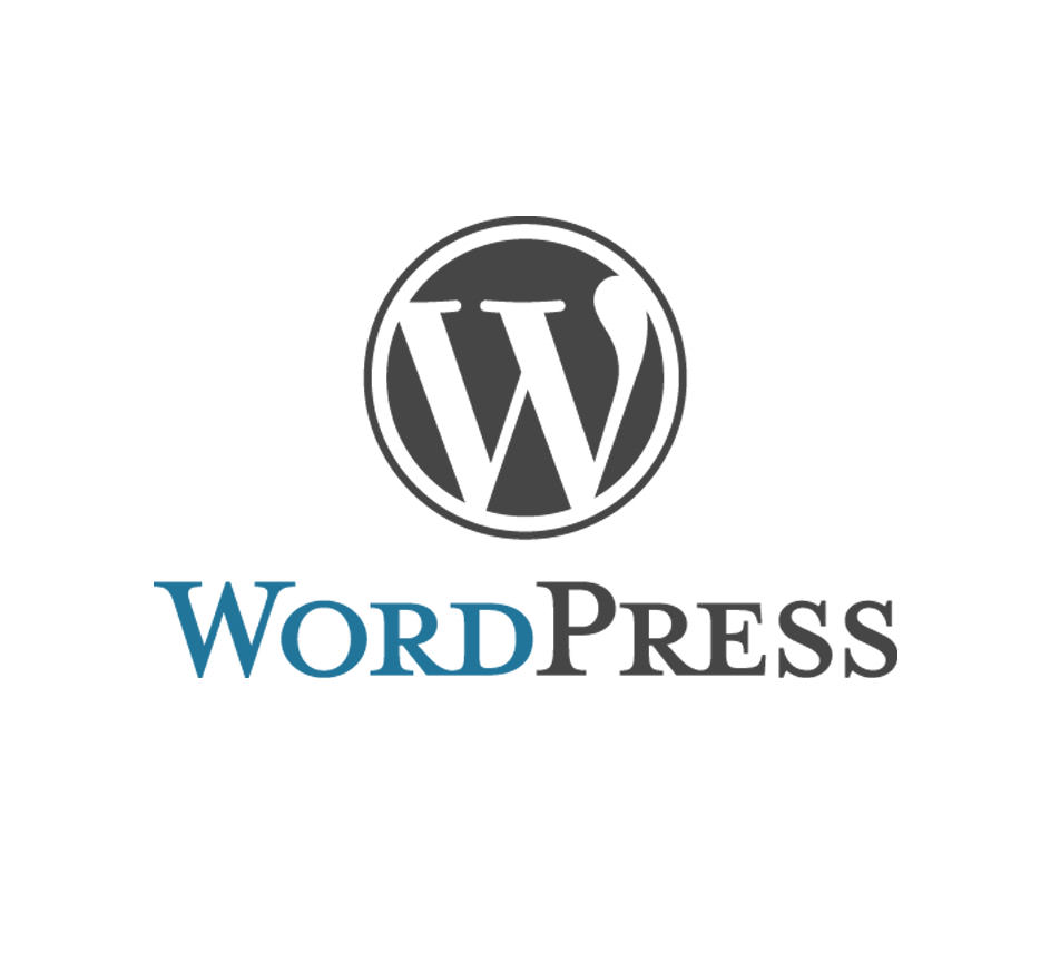 ecommerce-brains-wordpress